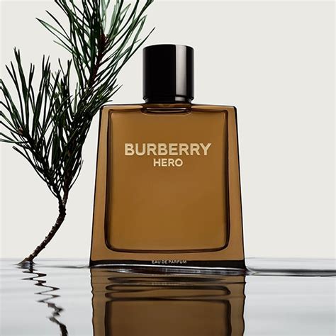 burberry colonias